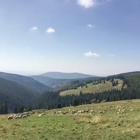 דירה Awesome In Rokytnice N.jizerou W 1 Bedrooms רוקיטניצה נאד איז'רו